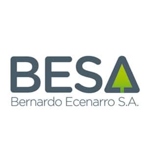 foto logo BESA