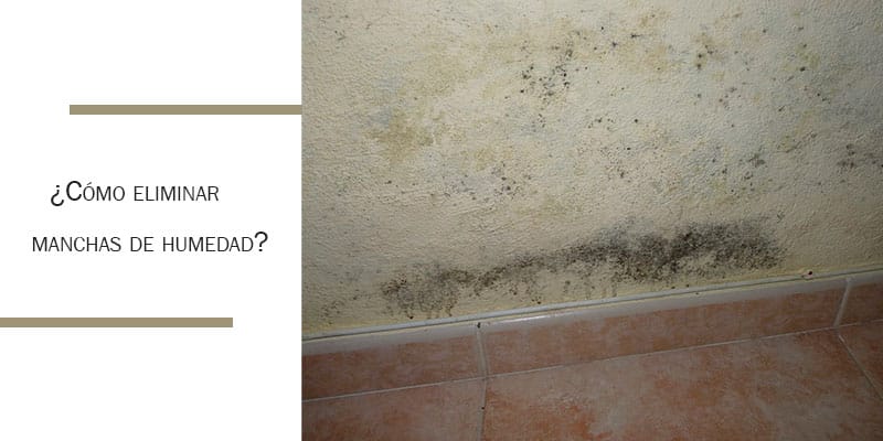 imagen de manchas de humedad en la pared