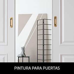 imagen categoría pintura para puertas